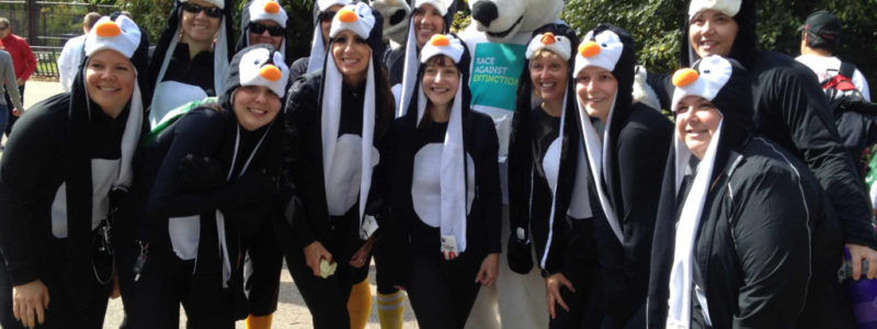 A group of people in a penguin costume